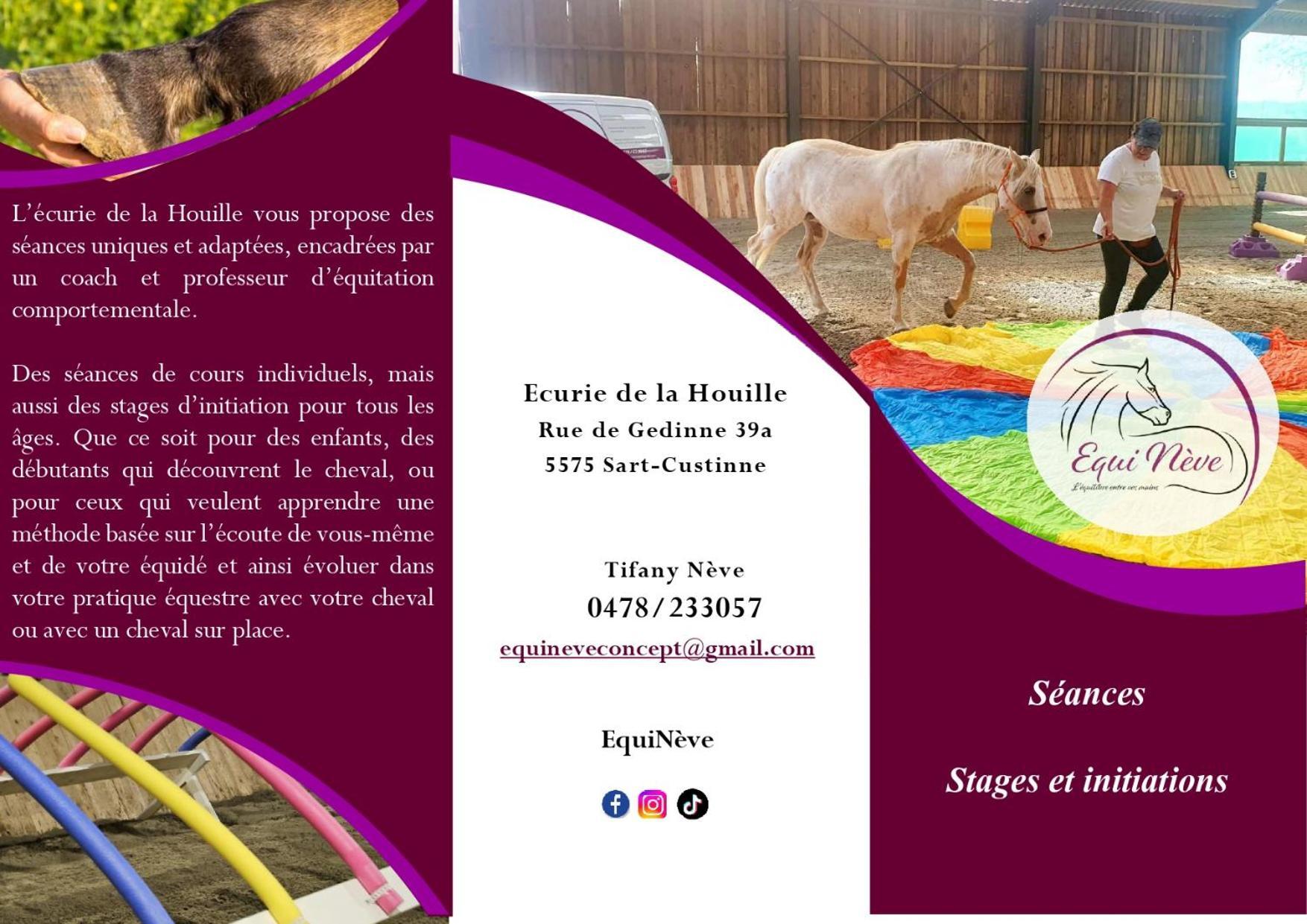 Вилла Le Relais De La Houille Sart-Custinne Экстерьер фото